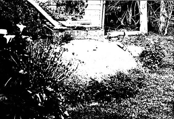 47 - House and Planting Cott Bridge Strath Rd_03 - Shire of Eltham Heritage Study 1992