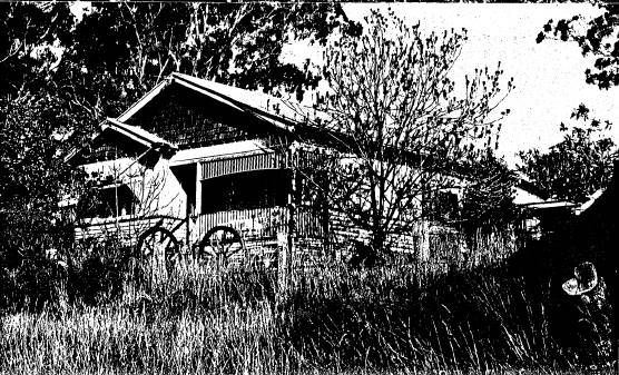 47 - House and Planting Cott Bridge Strath Rd_04 - Shire of Eltham Heritage Study 1992