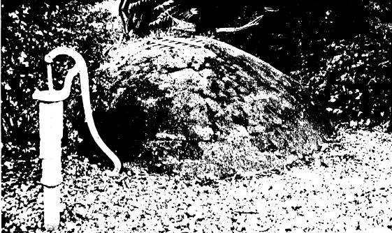 69 - Garden Hill Shearing Shed Elth Yarra Glen Rd_05 - Shire of Eltham Heritage Study 1992