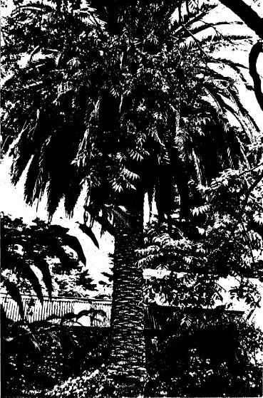 69 - Garden Hill Shearing Shed Elth Yarra Glen Rd_07 - Shire of Eltham Heritage Study 1992