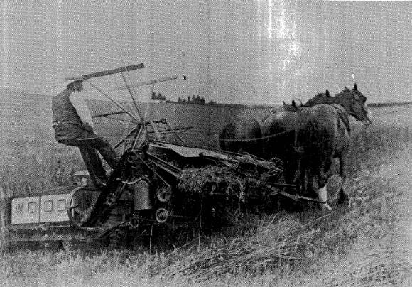 69 - Garden Hill Shearing Shed Elth Yarra Glen Rd_08 - James Ness Harvesting Oats at Garden Hill (ELHPC NO. 421) - Shire of Eltham Heritage Study 1992