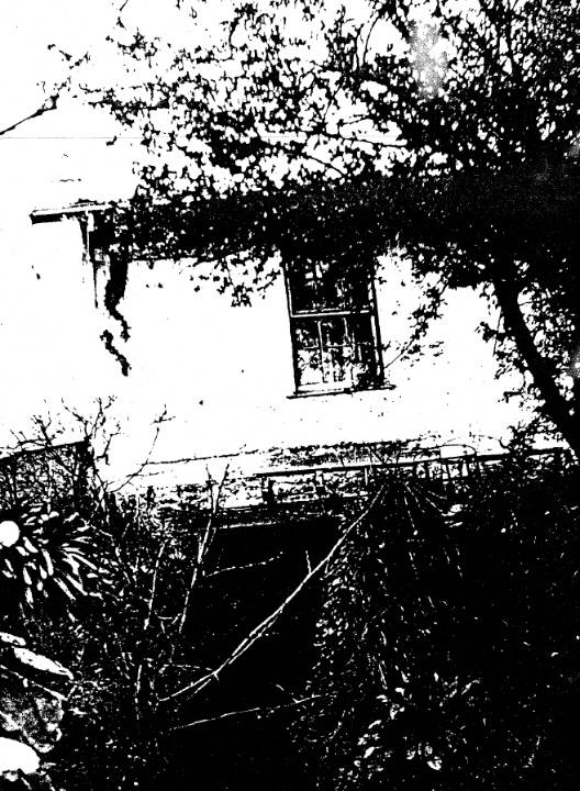 73 - Souter House 19 Falkiner St Eltham_05 - Original outside entry to the basement floor at the south east corner of the building in 1949. The ground in front of the Souter House was excavated and removed in recent years by the present owners - Shire of Eltham Heritage Study 1992