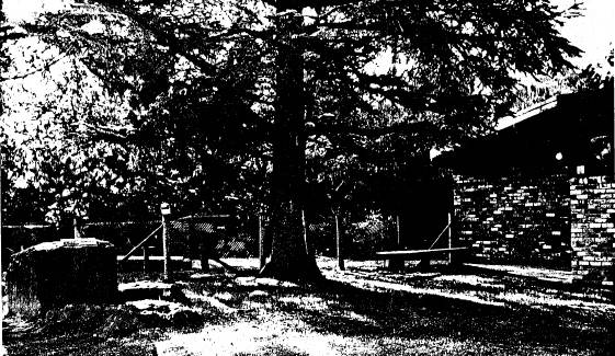 81 - Hurst Family Cemetery Greysharps Rd - Shire of Eltham Heritage Study 1992