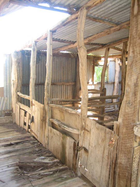 Bael Bael Homestead Bael Bael 10 Sept 2008 mz Shearing Board
