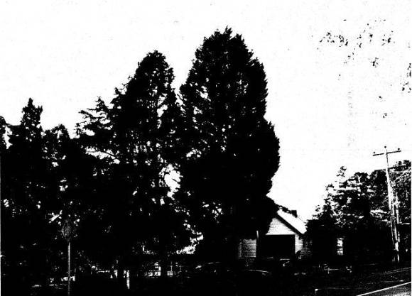 162 - Panton Hill Primary Schoool and Memorial Bell 05 - Shire of Eltham Heritage Study 1992