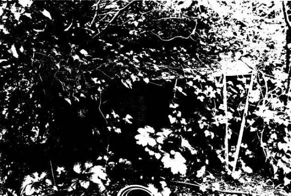 170 - Penleigh Boyd House North Warrandyte 17 - Shire of Eltham Heritage Study 1992