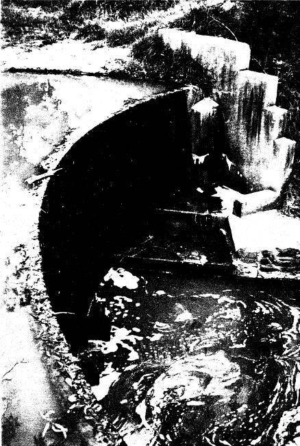 175 - Smith Dam Karingal Drive Eltham 02 - Shire of Eltham Heritage Study 1992