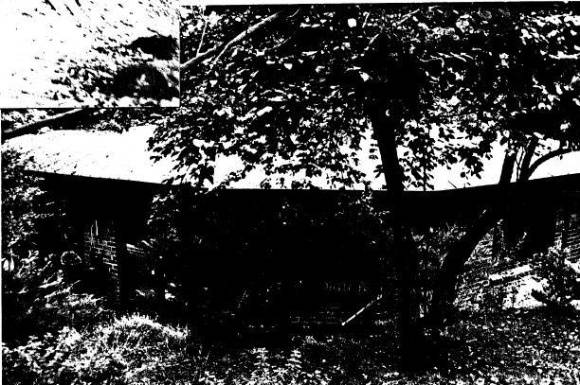 189 - Former Lim Joon House 618 Main Rd Eltham 04 - Shire of Eltham Heritage Study 1992