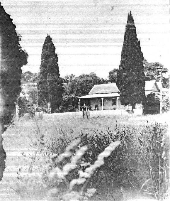 192 - Wingrove Cottage Pines 672 674 Main Rd - Old photograph (ELHPC no?) - Shire of Eltham Heritage Study 1992
