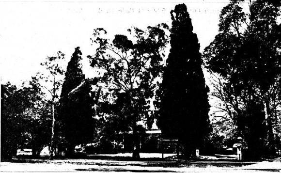 192 - Wingrove Cottage Pines 672 674 Main Rd 02 - Shire of Eltham Heritage Study 1992