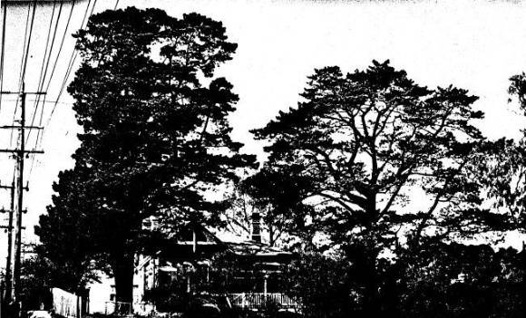 194 - State School 209 Residence Pines 690 Main Rd - Shire of Eltham Heritage Study 1992