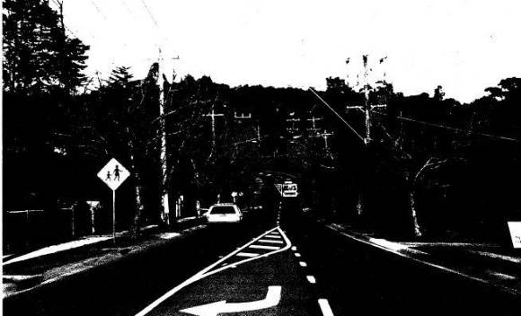 196 - Plane Tree Ave of Honour Main Rd Eltham 03 - Shire of Eltham Heritage Study 1992