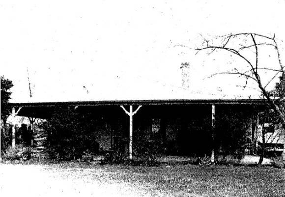 Nillumbik Farm and gum