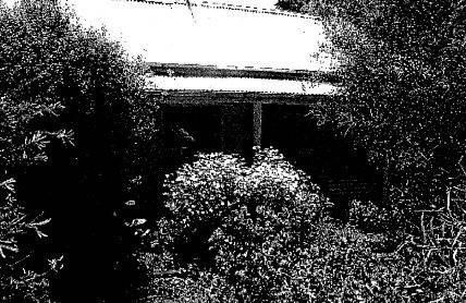 Jones Orchard Complex and Trees