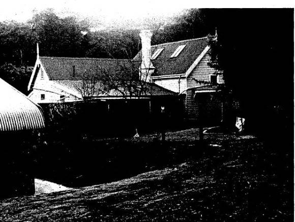 Christmas Hills Primary School