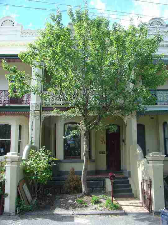 carlton north curtain street carlton north curtain street 80