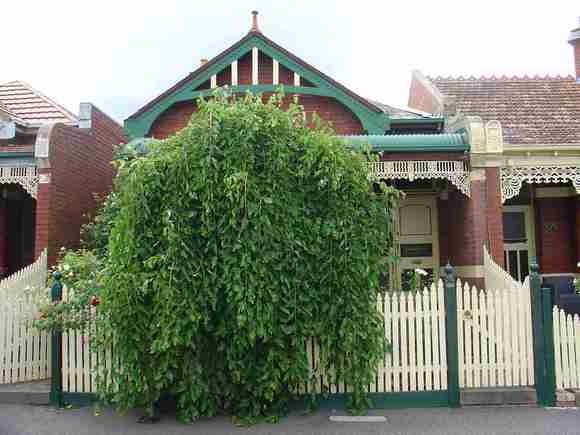 carlton north station street carlton north station street 576