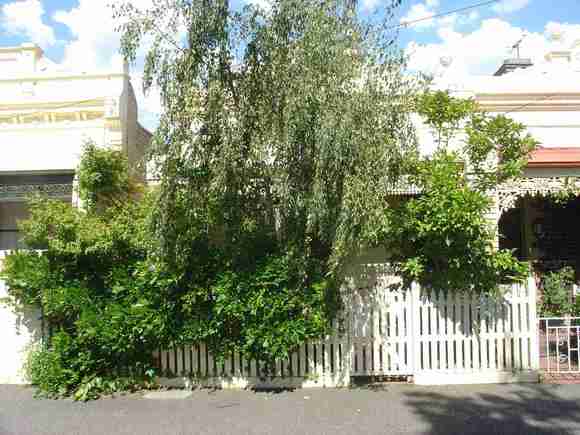 carlton north canning street carlton north canning street 312