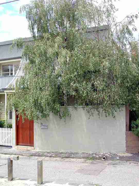 richmond allowah terrace richmond allowah terrace 8a