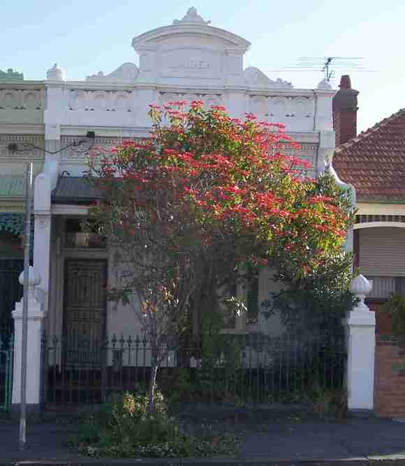 carlton north amess street carlton north amess street 305