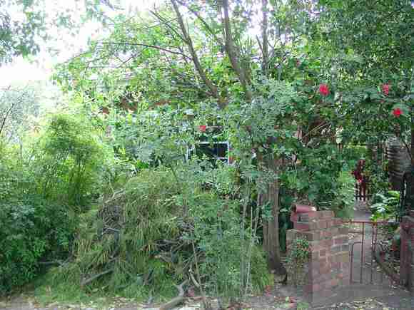 richmond fordham court richmond fordham court 14