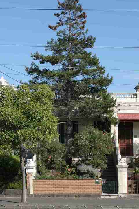 princes hill lygon street princes hill lygon street 519