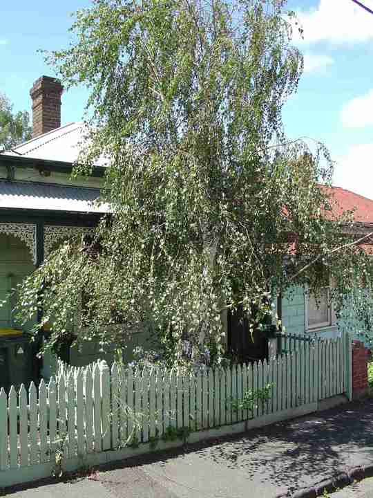 richmond hodgson terrace richmond hodgson terrace 9