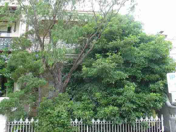 carlton north drummond street carlton north drummond street 772