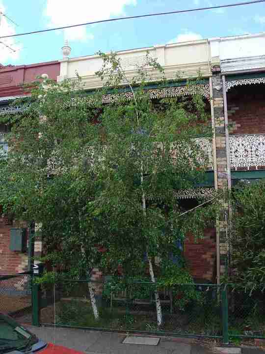 abbotsford lulie street abbotsford lulie street 22