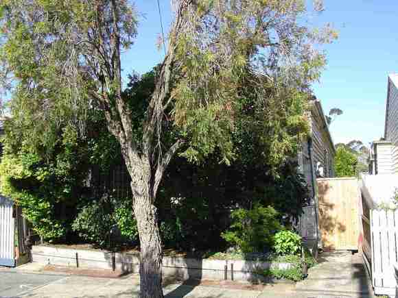 burnley parkville street burnley parkville street 44