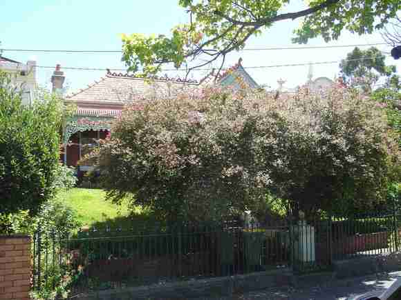 carlton north drummond street carlton north drummond street 915