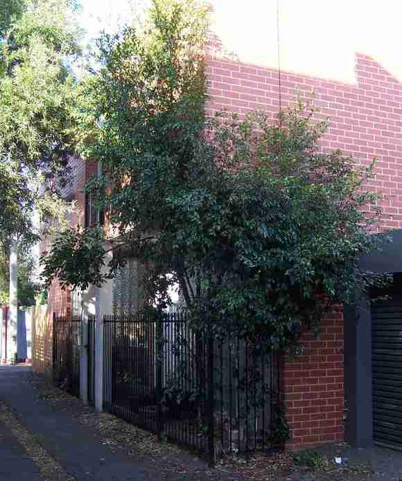 carlton north mary street carlton north mary street 16