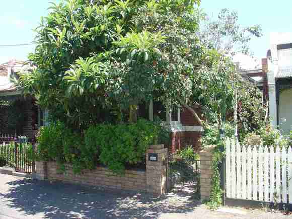 carlton north canning street carlton north canning street 495a