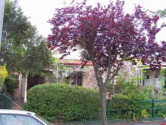 clifton hill ramsden street clifton hill ramsden street 94