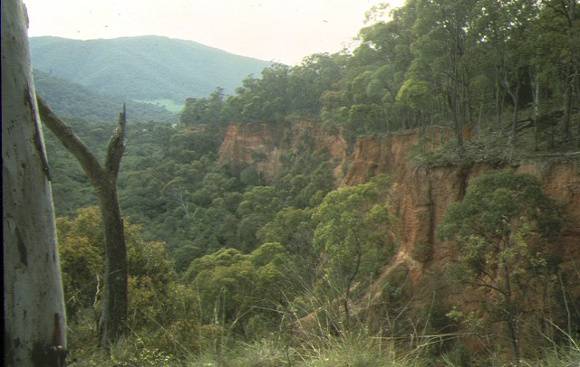 1  pioneer & union hydraulic gold sluicing site pioneer mine historic area mitta mitta landscape