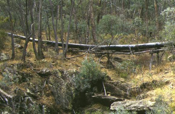 1 red hill hydraulic gold sluicing site castlemaine pipe line side view