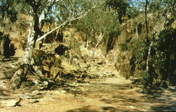 1 specimen gully quartz mining assoc gold mine barkers creek castlemaine landscape