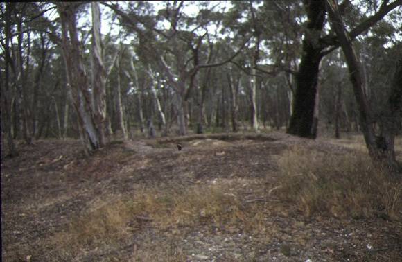 1 phillips gully gold mining precinct eaglehawk puddler