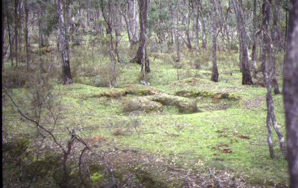 1 spring gully gold puddling site spring gully chewton puddler