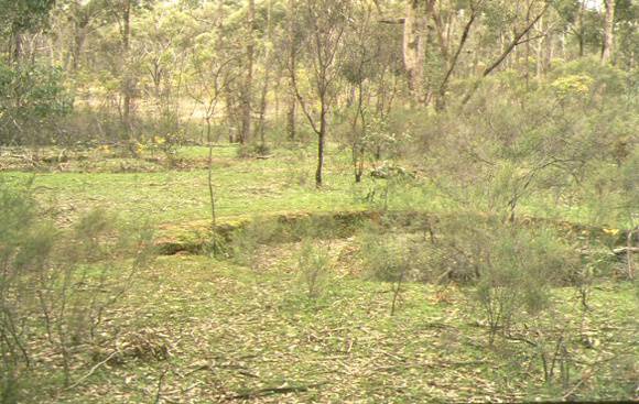 1 sawpit gully gold puddling site heathcote site