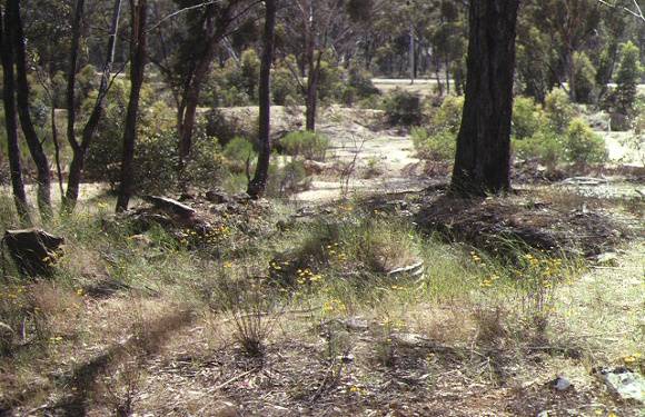 1 bet bet gold puddler dunolly landscape