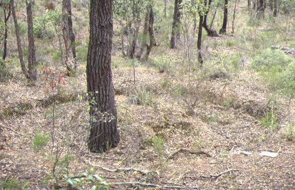 1 welcome reef puddler welcome reef dam redcastle site view