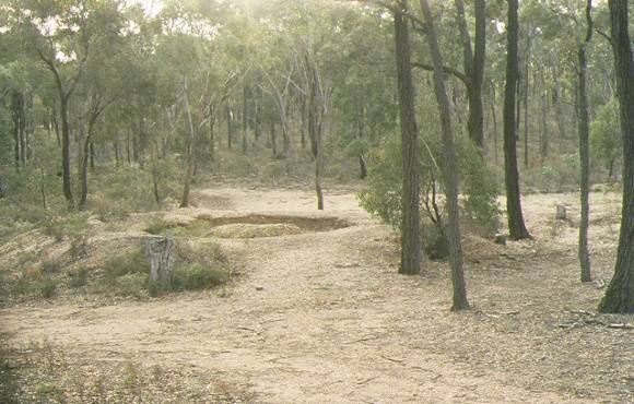 1 wild duck lead horse shoe track waanyarra puddler