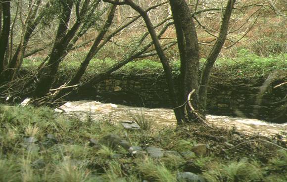 1 jim crow diversion sluice hepburn regional park hepburn springs site view
