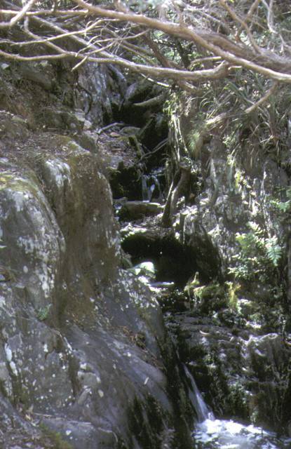 1 jungle creek fall sluice grant historical area dargo falls