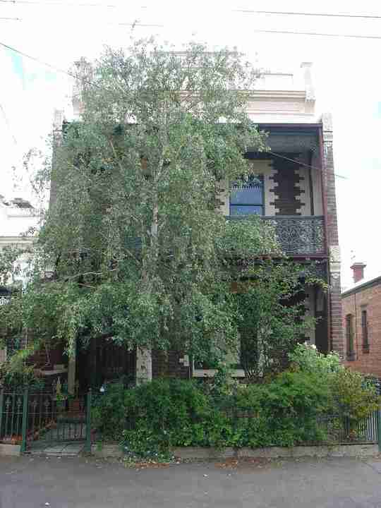 carlton north station street carlton north station street 509