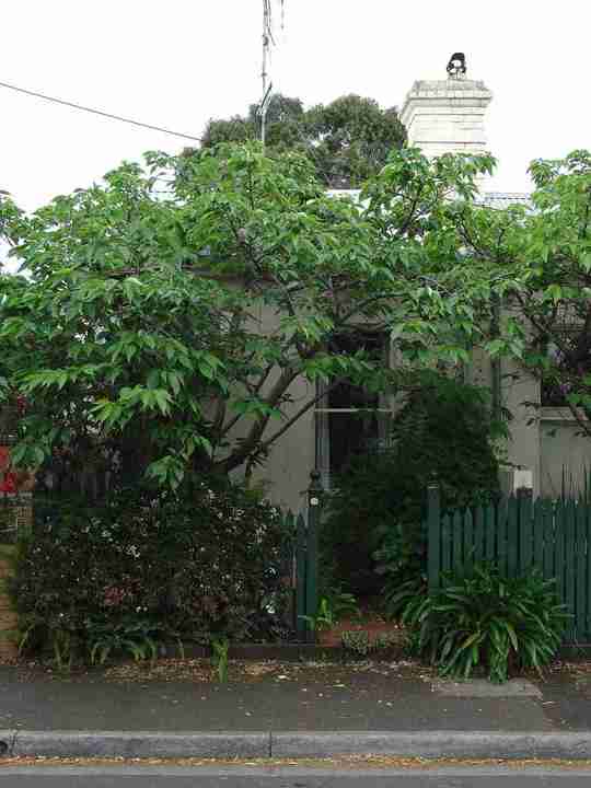 abbotsford studley street abbotsford studley street 78