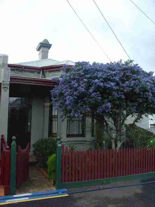 fitzroy north brunswick street fitzroy north brunswick street 820