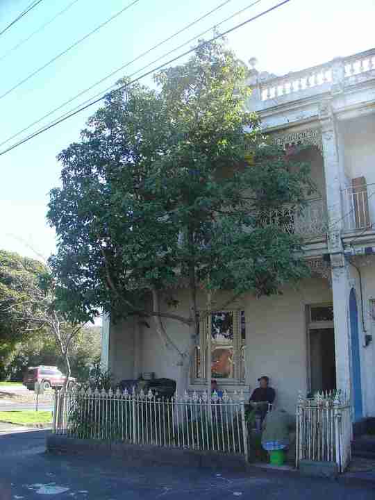 fitzroy north mckean street fitzroy north mckean street 207