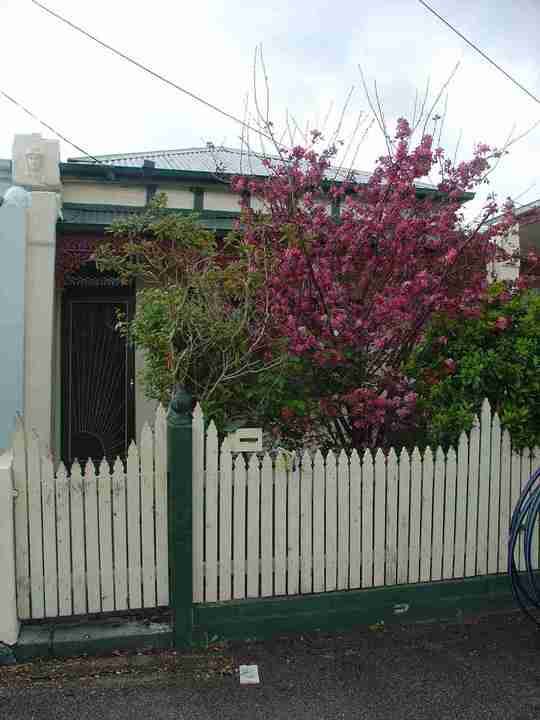 fitzroy north brunswick street fitzroy north brunswick street 834